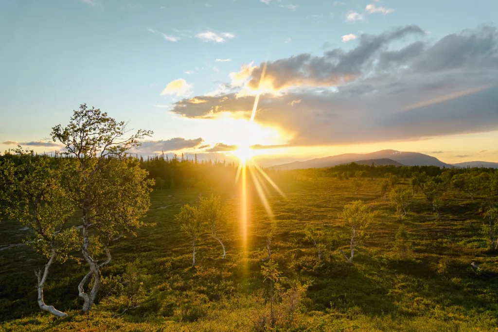 första sidan, foto, webbdesign, flexibel, logga, helhet, noggrann